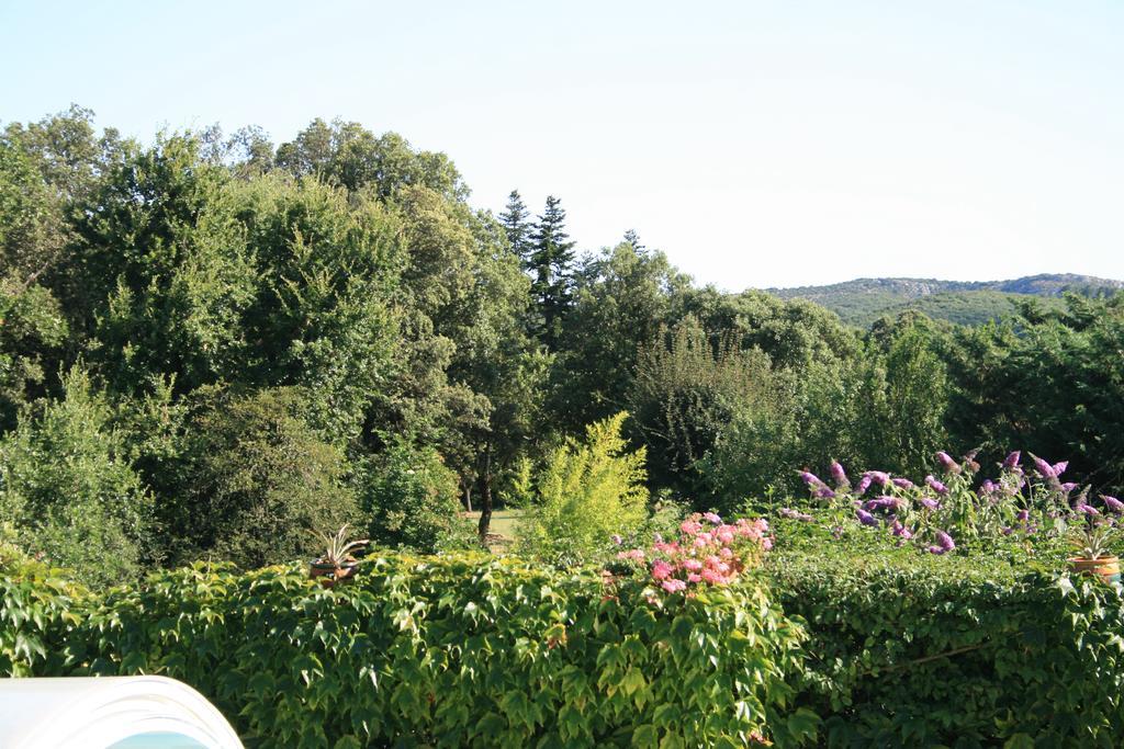 La Figalie Villa Saint Jean du Pin Buitenkant foto